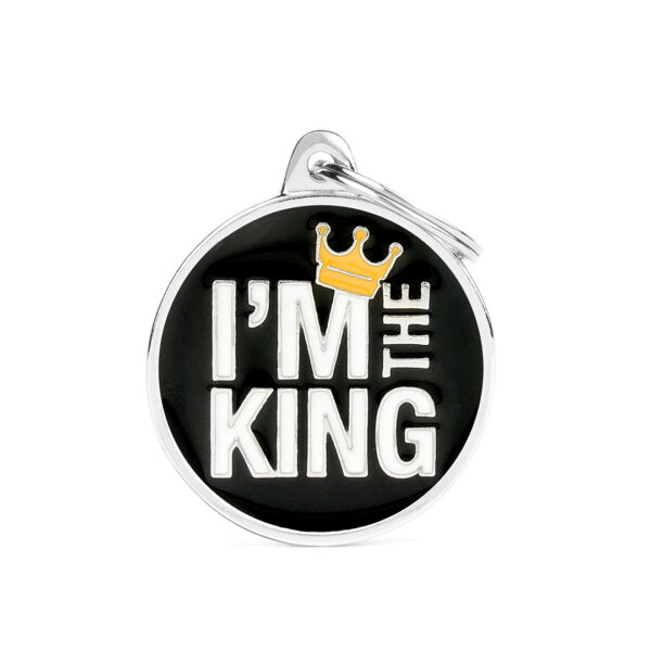 CH17KING-1.jpg